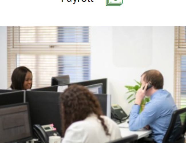 Payroll Services Consultation